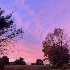 Meet your Posher, Sydney